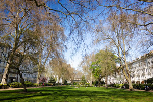 Belsize Park man and van